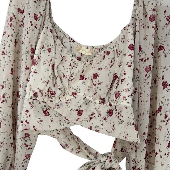 Altard State Women SZ Large Floral Long Sleeve Crop Top Blouse With Back Tie - Picture 9 of 11